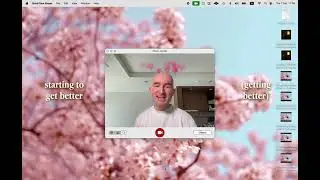 Gabriel, CUBE - FLOWERS (visualiser)