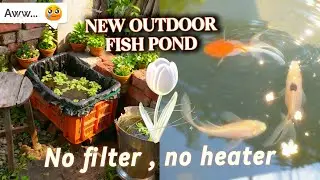 NEW SMALL OUTDOOR FISH POND SETUP | HOW TO SETUP A SMALL DIY POND AT HOME