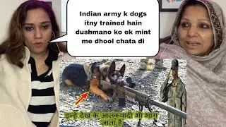 Indian army brave trained dogs who can do Everything 😲 || Pakistani Reaction
