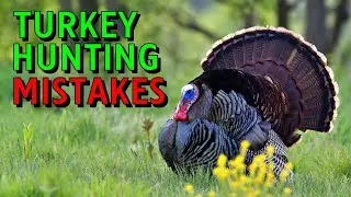 Turkey Hunting Tips and Tricks for Beginners