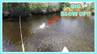 TOP WATER BASS on EVERY CAST! LOUISIANA MARSH!