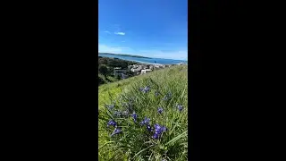 Oceana Dr. Dillon Beach, Marin County California