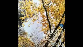 Dragoljub Lazarevic - Ima majka dve devojke - (Audio 1974) HD