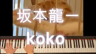 koko by Ryuichi Sakamoto | Daily Piano Daily Meow