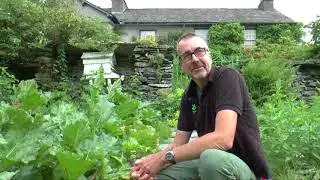 Meet the man who's been looking after Beatrix Potter's garden for 30 years