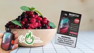 🚂 Puff Like a King! 👑 North FT12000 Vape Review &ndash; Frozen Raspberry Flavor ❄️🍇
