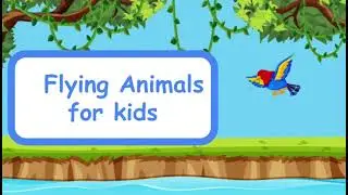 Flying Animal Names for Kids | Learning Air Animals | Kiddopedia Sensational