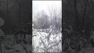 Dangerous Cold Blast with Snow #snowyscenes