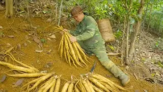 Harvesting herbs in the forest, growing vegetables by the river - A peaceful life, surviving alone