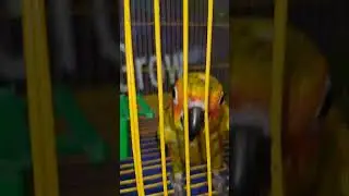 Nisargadhama forest and bird park coorg | Tourist place in coorg bird park Madikeri | coorg park