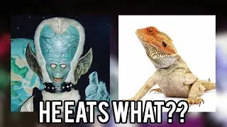 The MoonRockers' Favorite Foods???!!!