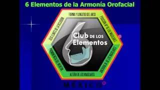 6 elementos en la armon&iacute;a orofacial 2 - AMARO A.C.