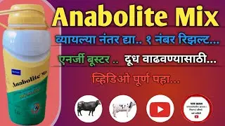 भरपूर दूध आणि एनर्जी||Anabolite Mix||Anabolite Mix liquid||Nutritional supplement for cattle feeding