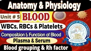 What is Blood? | Composition, Groups, and Function of Blood| WBC, RBCs & Platelets |Plasma & Serum