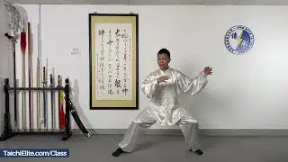 41.Chen Style Tai Chi - Old Fram First Routine 74 form(Lao Jia Yi Lu) - Six Sealing and Four Closing