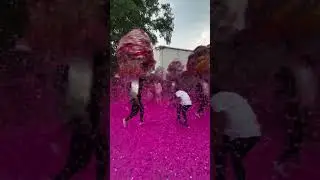 Grand Wedding Entry Dance | Stunning Performance & Luxury Celebration 💃💍