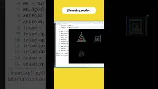 Beautiful Design - Python Turtle | @learning_section