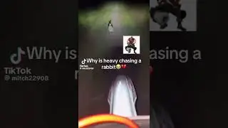 tf2 heavy chasing a rabbit