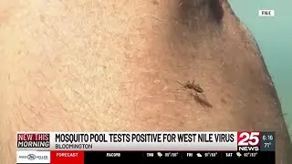 First Mosquito Pool to Test Positive for West Nile Virus in McLean County