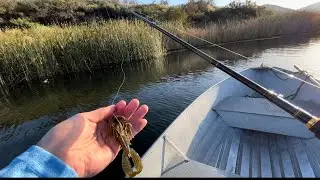 Catching Bass at Dixon Lake
