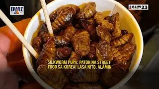 SILKWORM PUPA, PATOK NA STREET FOOD SA KOREA!