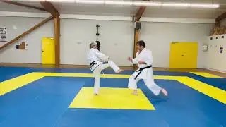 Rentr&eacute;e 2025/26 cours en collectif et en particulier. Michel Kervadec Ceinture noire 8 eme Dan. 
