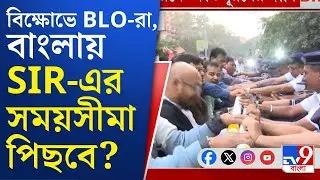 CEO Office, BLO Protest: মৃত BLO-দের পরিবারকে আর্থিক ক্ষতিপূরণ দেওয়ার দাবি! আর কী দাবিতে বিক্ষোভ?