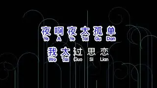 DJ小鱼儿   夜夜夜漫长  ye ye ye man zhang