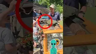 Datos Curiosos Que No Sab&iacute;as |&nbsp;Parte&nbsp;11&nbsp;🤯