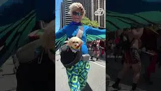 WATCH: 2025 San Francisco Pride Parade exclusively on ABC7