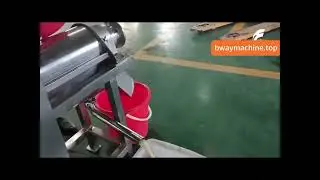 Pineapple Juicer Machine: 500-1000 L/Hr for Commercial Juice Production