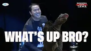 Interesting Facts about Komodo - Bhinneka Tunggal Ika by Pandji Pragiwaksono