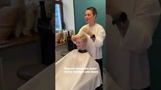 Old Money Bob - Top 2026 #barbershop #haircut #hairstyle #trending