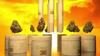 Sunshine Cannabis Whole Flower Now Avaialable