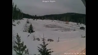 WBC Day Use Parking Lot Cam - 2025.12.11