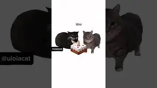 Maxwell x spinning cat REMIX Birthday song