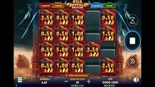 Funrize Sweepstakes Casino: Wild Buffalo Big Win