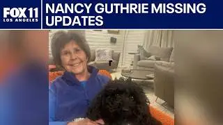 Nancy Guthrie disappearance case enters 12th day