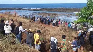 Malama Pupukea-Waimea Native Hawaiian Plant Coastal Restoration Project