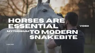 Mythosium Explains  Why Horses Are Essential to Modern Snakebite Treatment