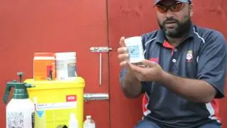 Pigeon Health: How to Deworm Pigeons English Tipplers High flyers, Racing Pigeons | Fancy Pigeons