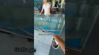 Покупка ДОРОГОЙ акулы