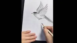 Sketching a Swallow with Chinese Aesthetic &mdash; Elegant Traditional-Inspired Drawing#swallow