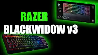 RAZER BLACKWIDOW V3 ASMR UNBOXING - 4K