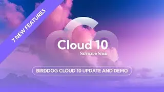 Обновление и демонстрация BirdDog Cloud 10