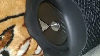 Bass test