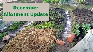 December Allotment Tour