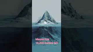 Mauna Kea vs Mount Everest   #facts