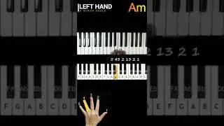 A Minor Scale with Fingers Position for Keyboard/Piano Daily Practice and Training Exercise #Shorts