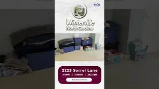 Is This the Biggest 4th Bedroom? Two Zones, Attic & Closet!